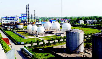 潛江聚力促發展，強招商打造新能源新材料產業新高地